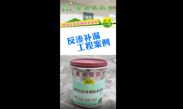 愛(ài)迪斯防水案例--湛江市龍騰廣場(chǎng)地下室滲水補(bǔ)漏工程